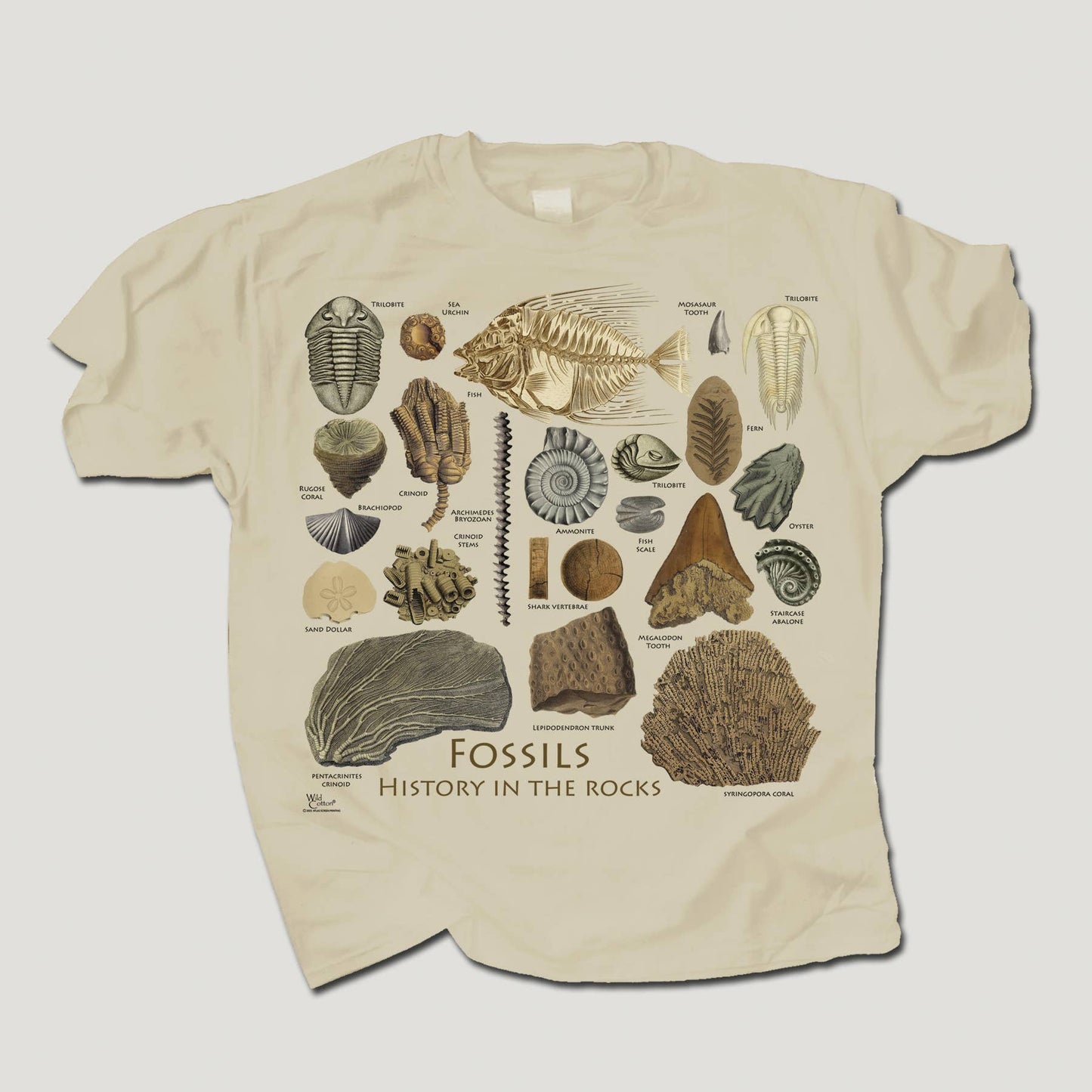 Fossils Guide 100% HW Cotton Youth T-shirt