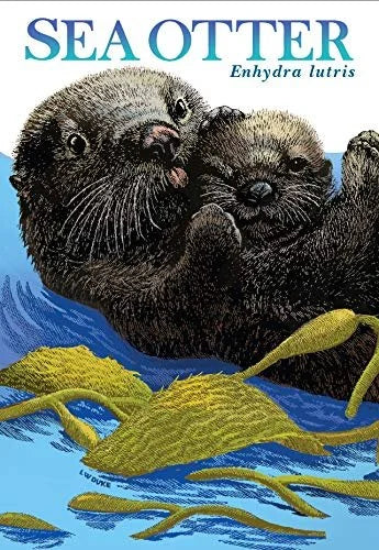 Sea Otter Unfolding Science Guide