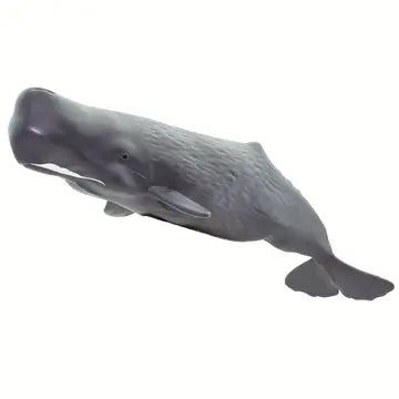 SPERM WHALE