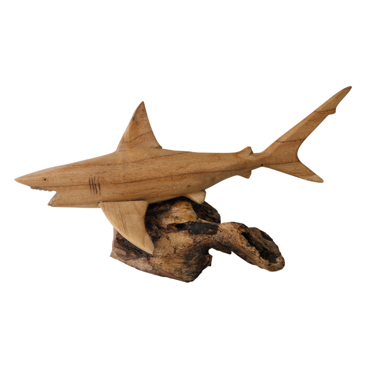 LARGE SHARK W/WOOD BASE