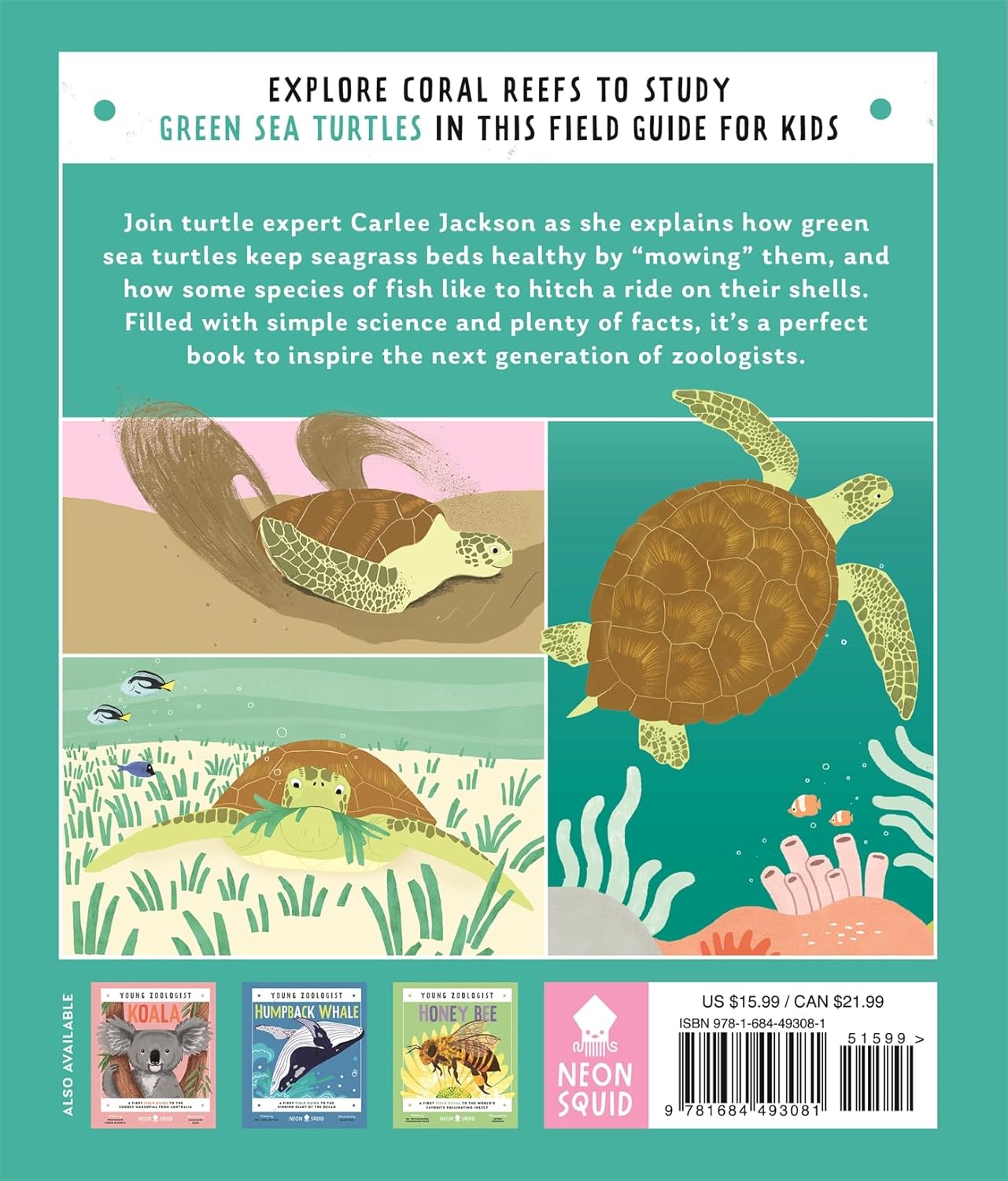 Green Sea Turtle (Young Zoologist): A First Field Guide to the Ocean Reptile from the Tropics
