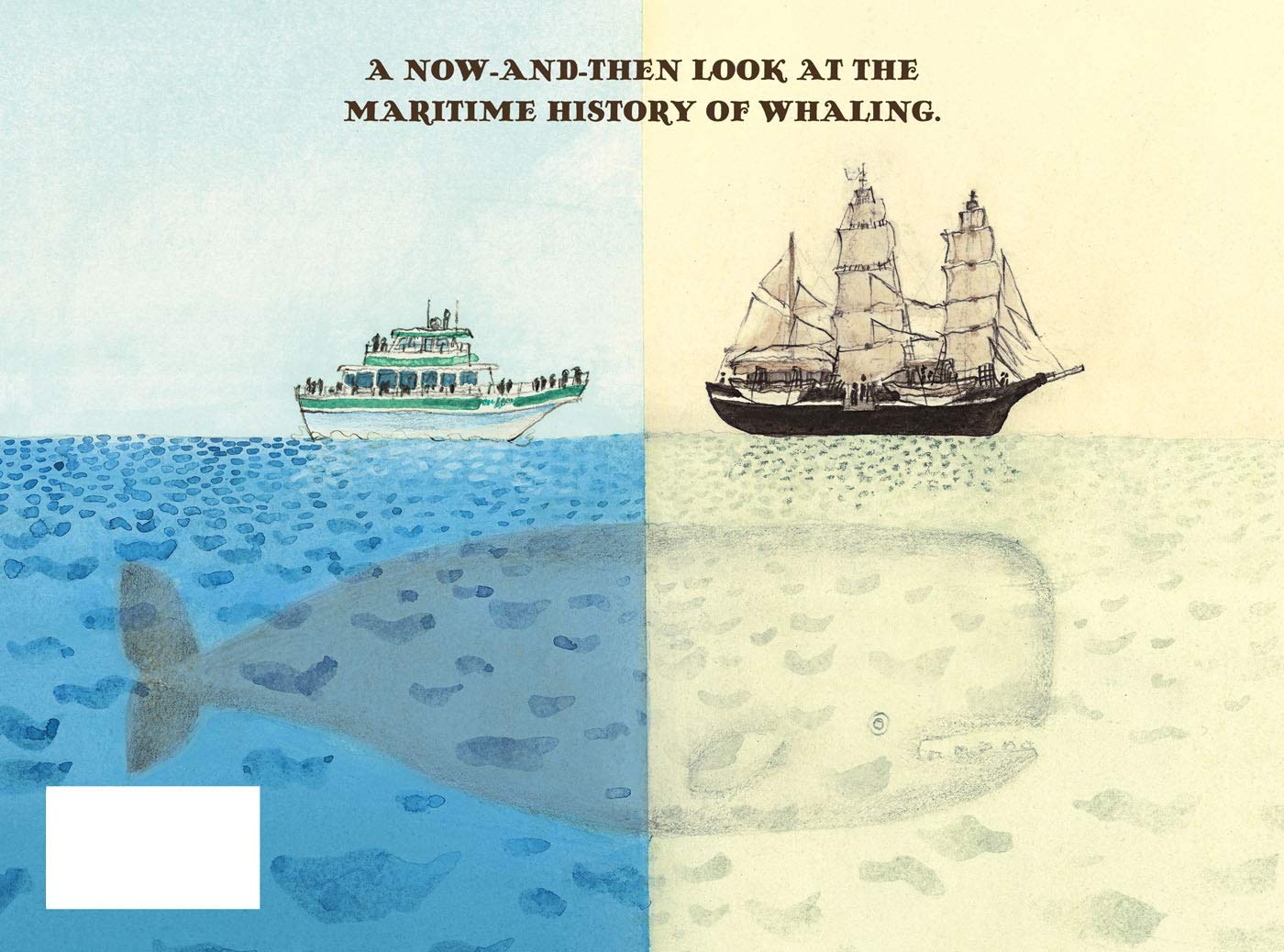 Whale Trails, Before and Now