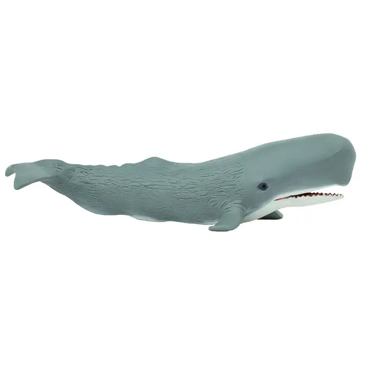 Grey SPERM WHALE