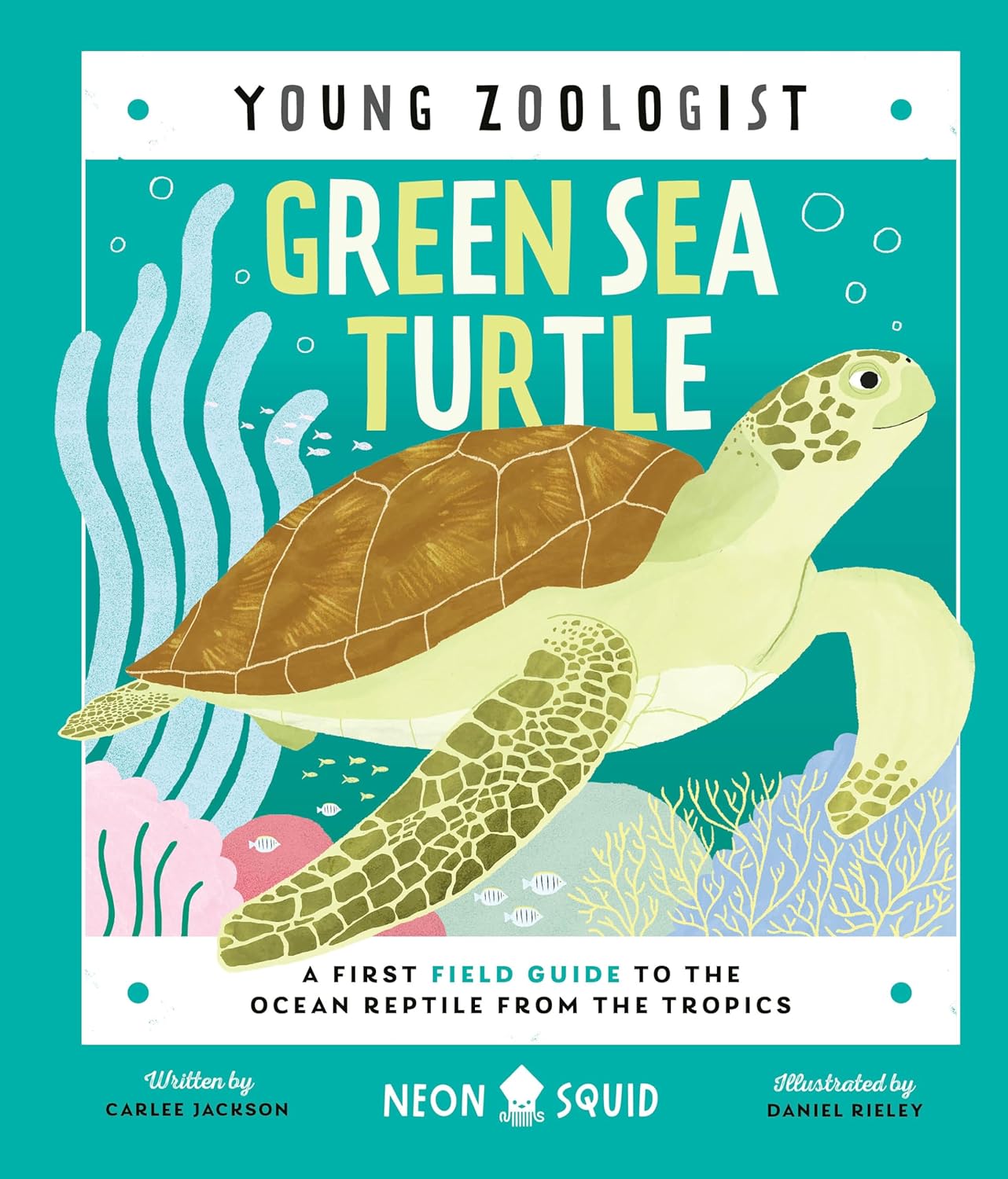 Green Sea Turtle (Young Zoologist): A First Field Guide to the Ocean Reptile from the Tropics
