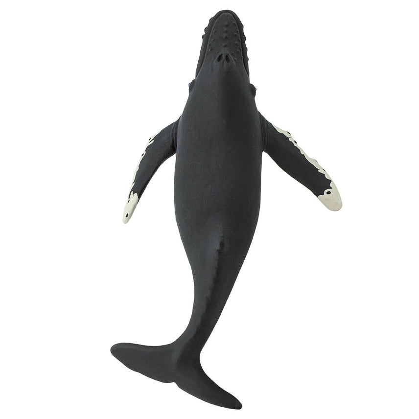 HUMPBACK WHALE