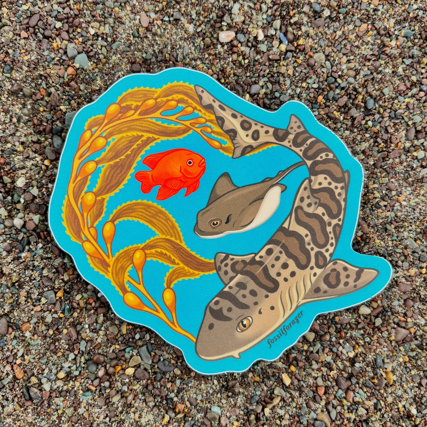 Leopard Shark & Kelp Sticker