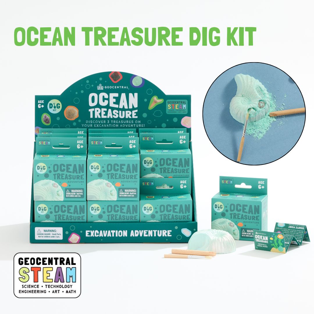 OCEAN ANIMALS DIG KIT