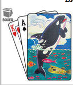 CMA playing cards