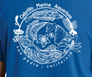CMA Youth Circle of Fish Sapphire
