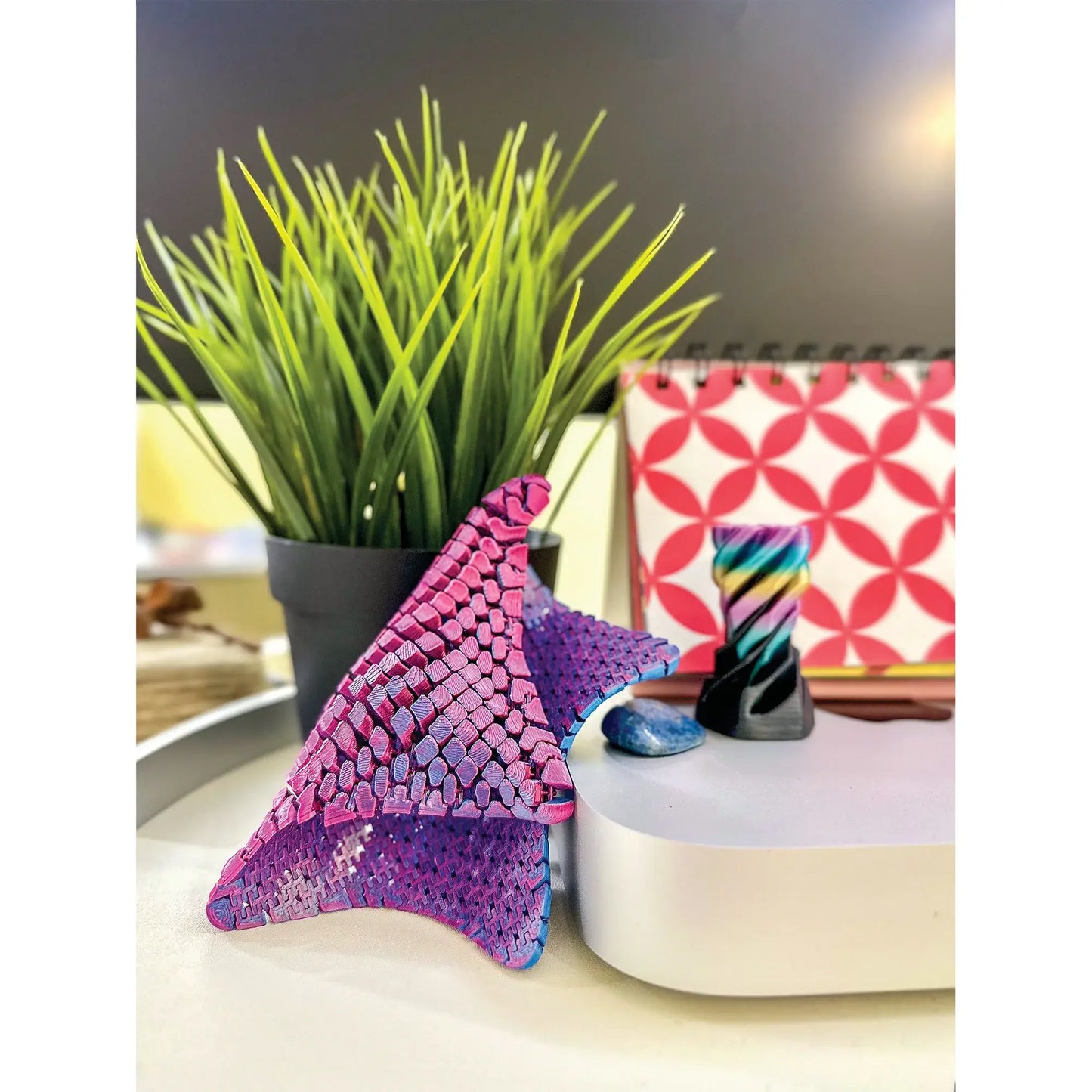 3D PRINTED STARFISH FIDGET TOY