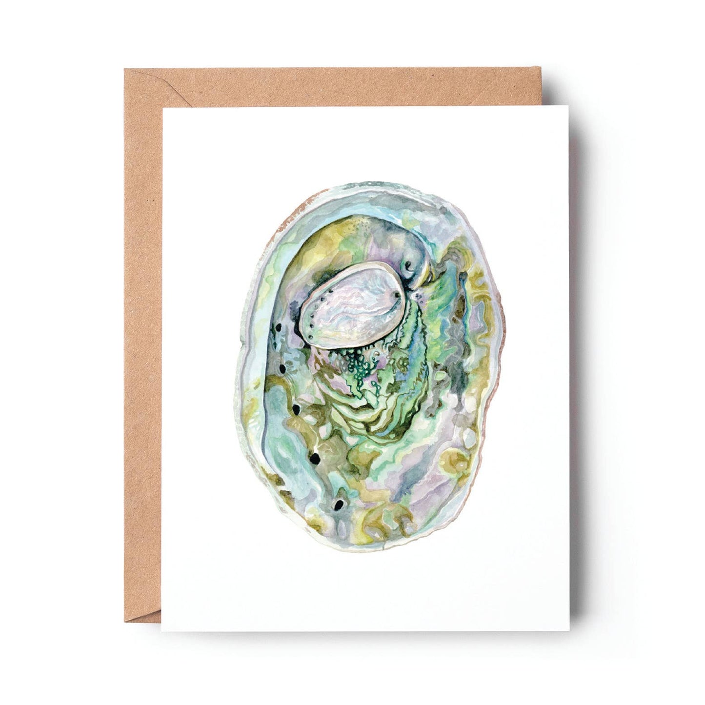 Abalone shells