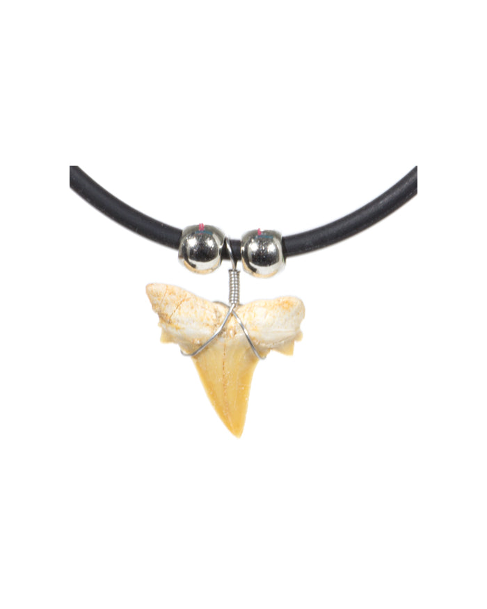 X-LG. SHARK TOOTH-NECKL.