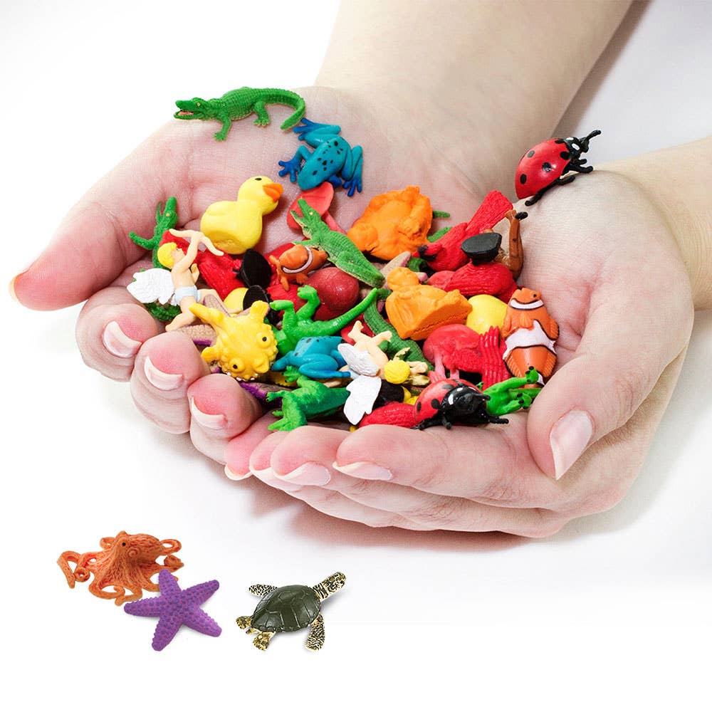 Coral Reef Fun Pack
