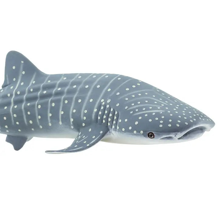 WHALE SHARK
