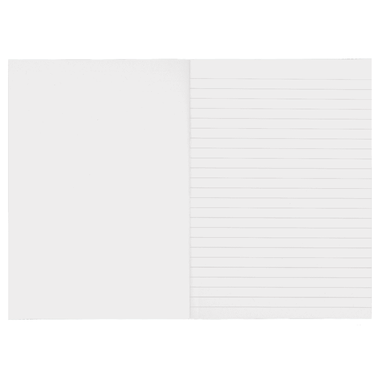 Leatherback Turtle recycled paper A5 Notebook recycled paper