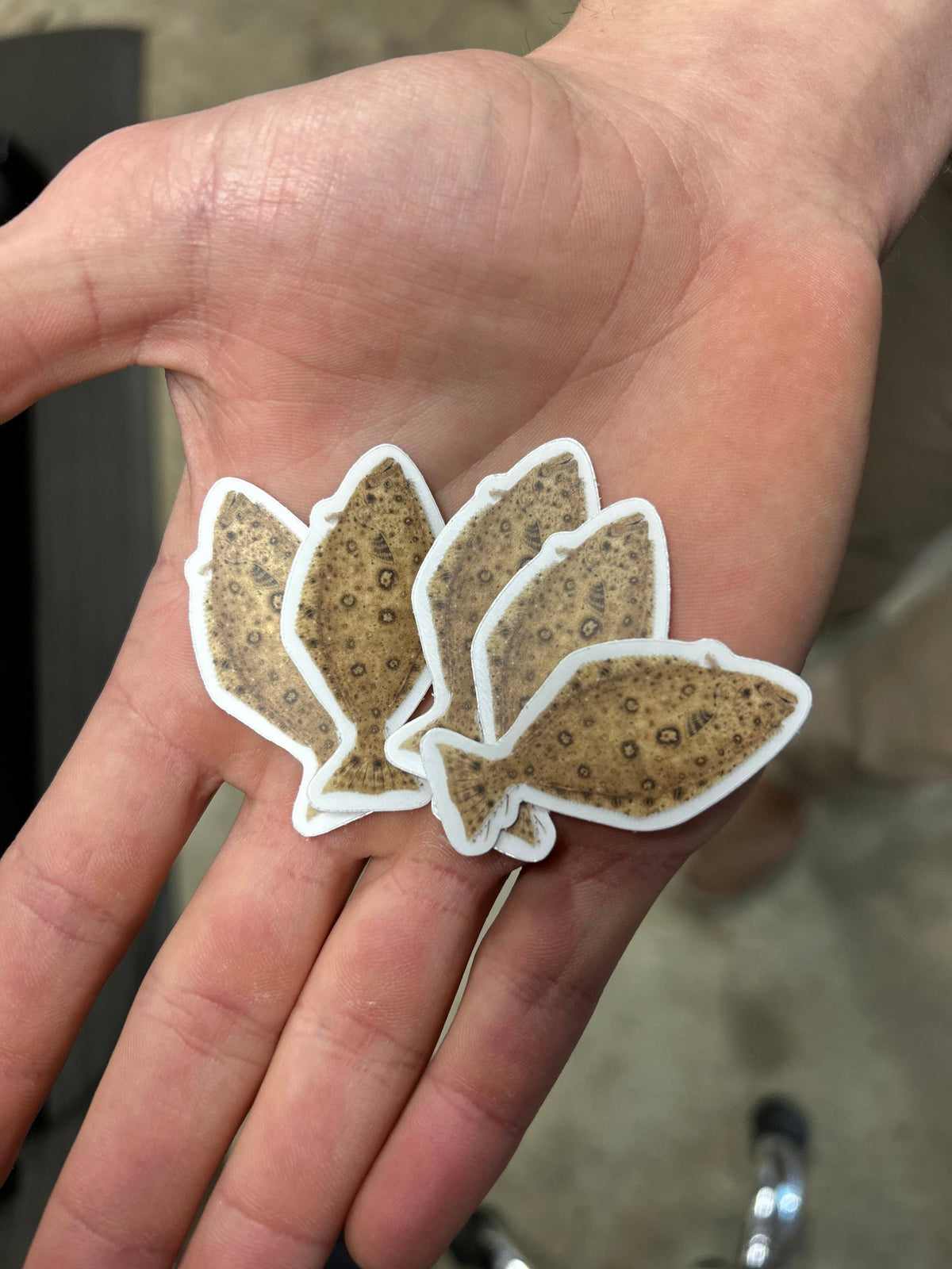 Mini Halibut Stickers