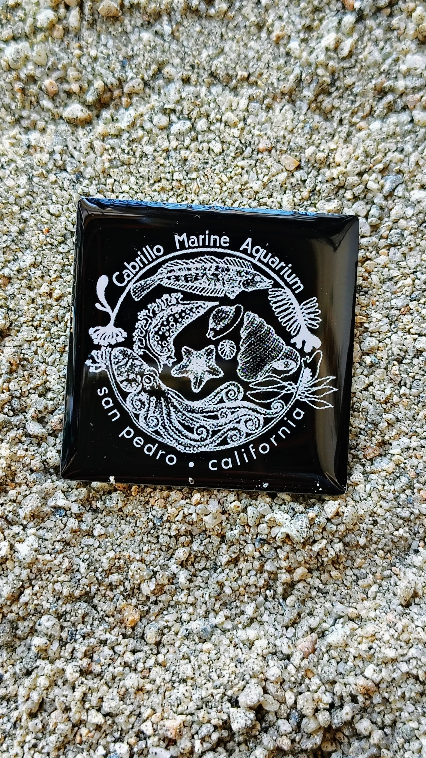 CMA LAPEL PIN