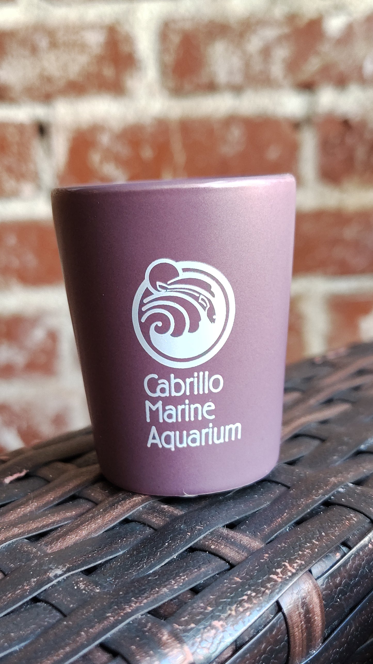 CMA MATTE SHOT GLASS