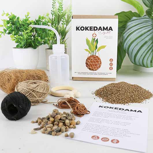 The Art of Kokedama