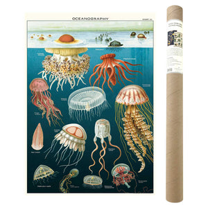 Oceanography Poster and Kit