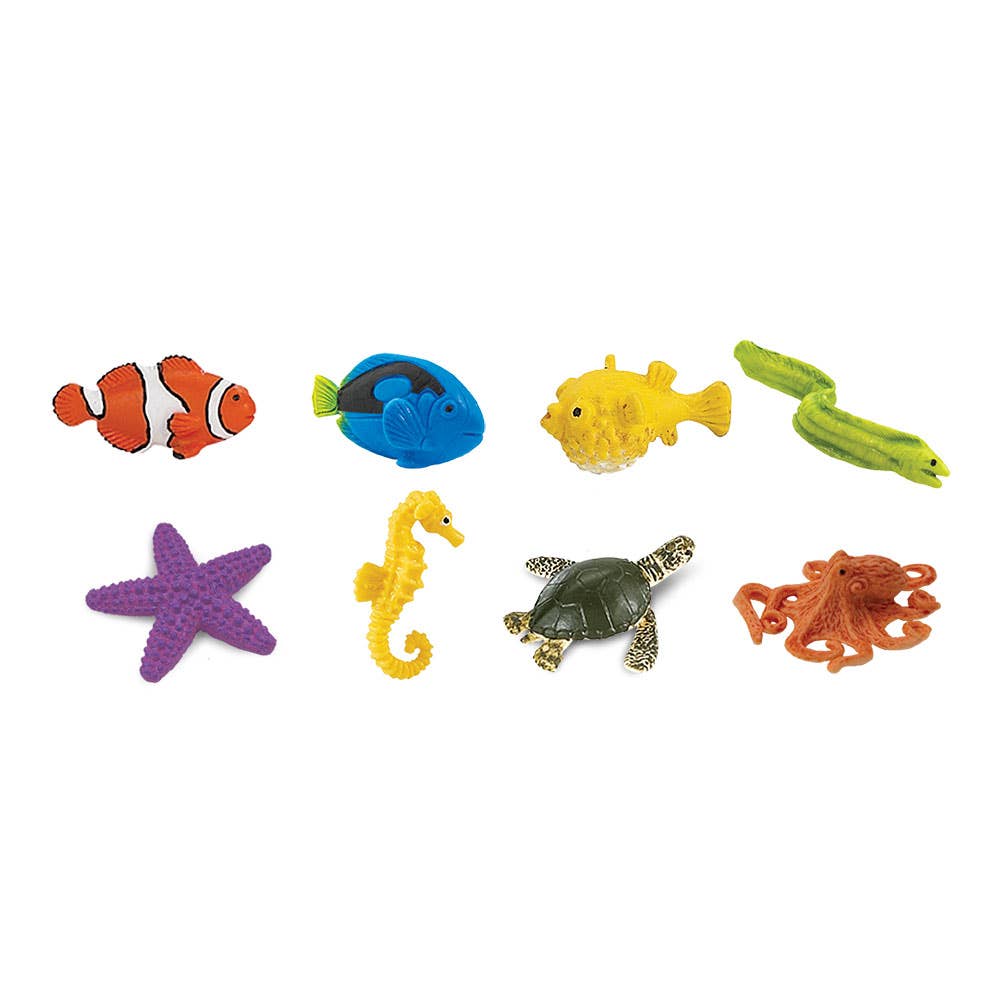 Coral Reef Fun Pack