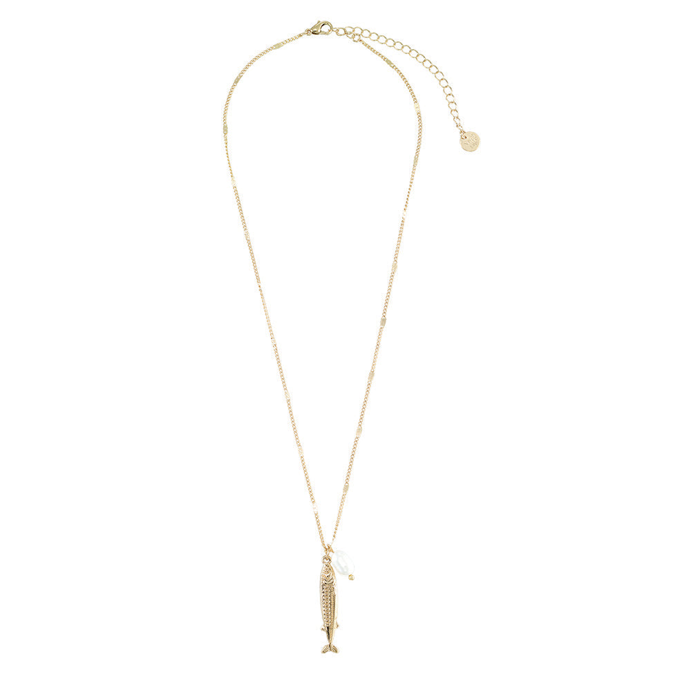Sardine Jewlery Collection