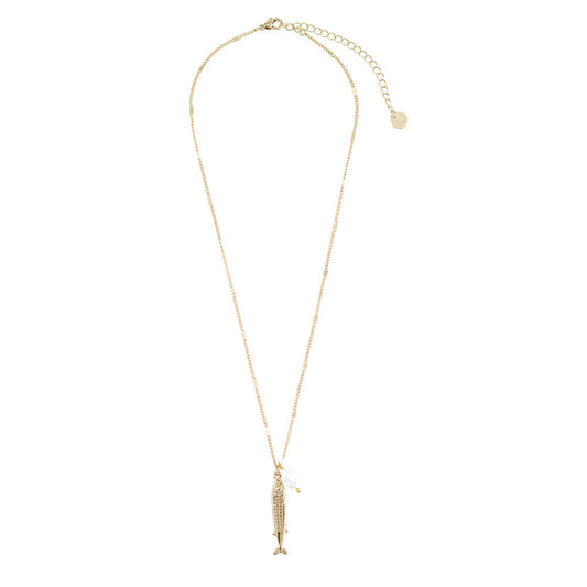Sardine Jewlery Collection