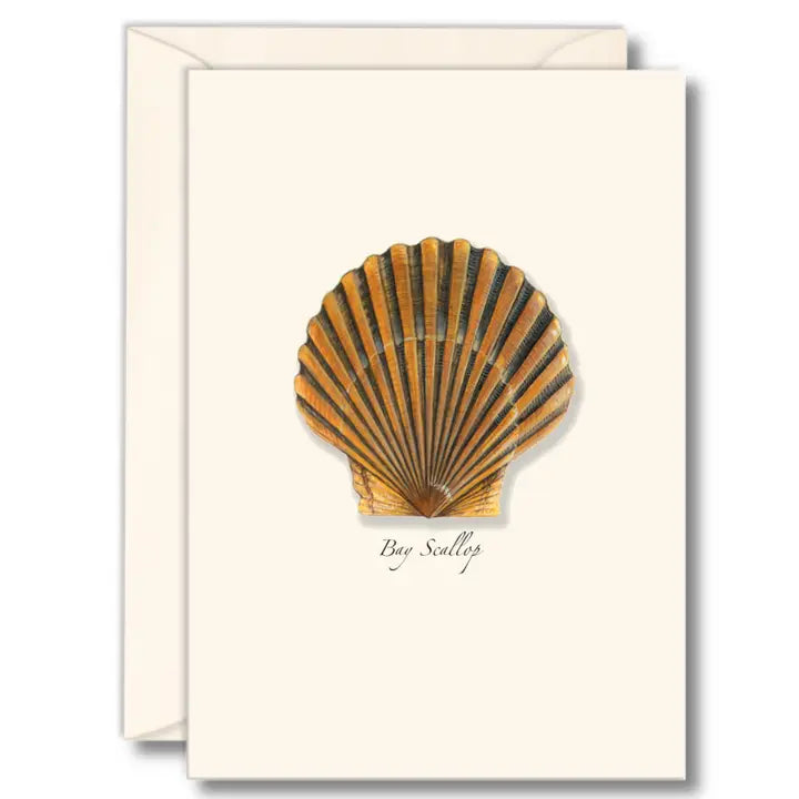 Notecard Set