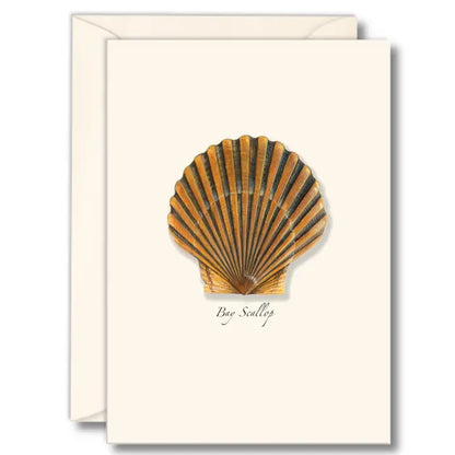 Notecard Set
