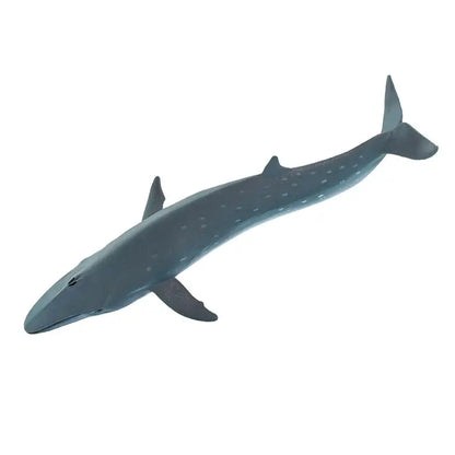 SEI WHALE