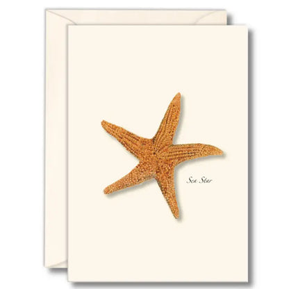 Notecard Set