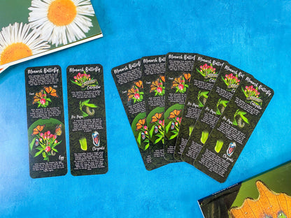 Monarch Lifecycle Bookmark