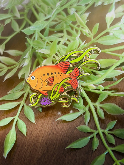 Garibaldi Enamel Pin - Kelp Forest Friends