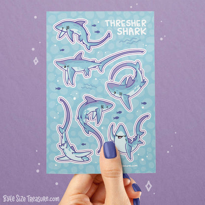 Thresher Shark Sticker Sheet