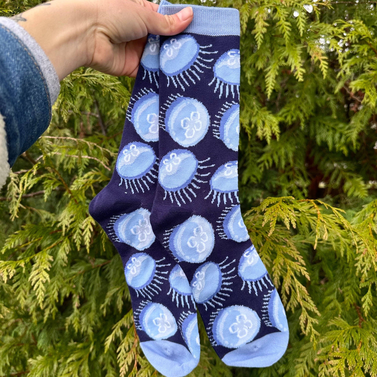 Moon Jellies Jellyfish Socks - $1 to Charity! - 80% Bamboo