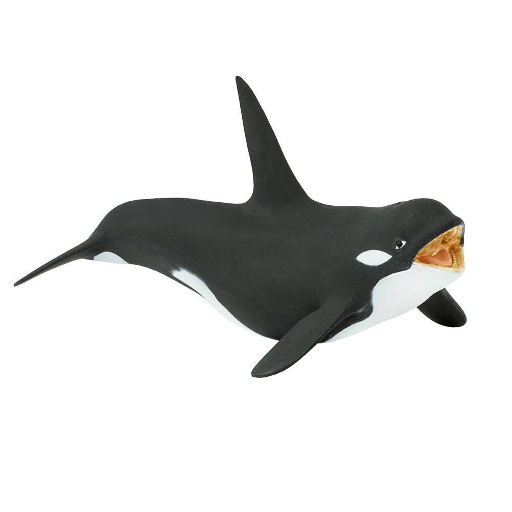Killer Whale