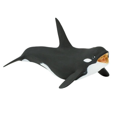 Killer Whale