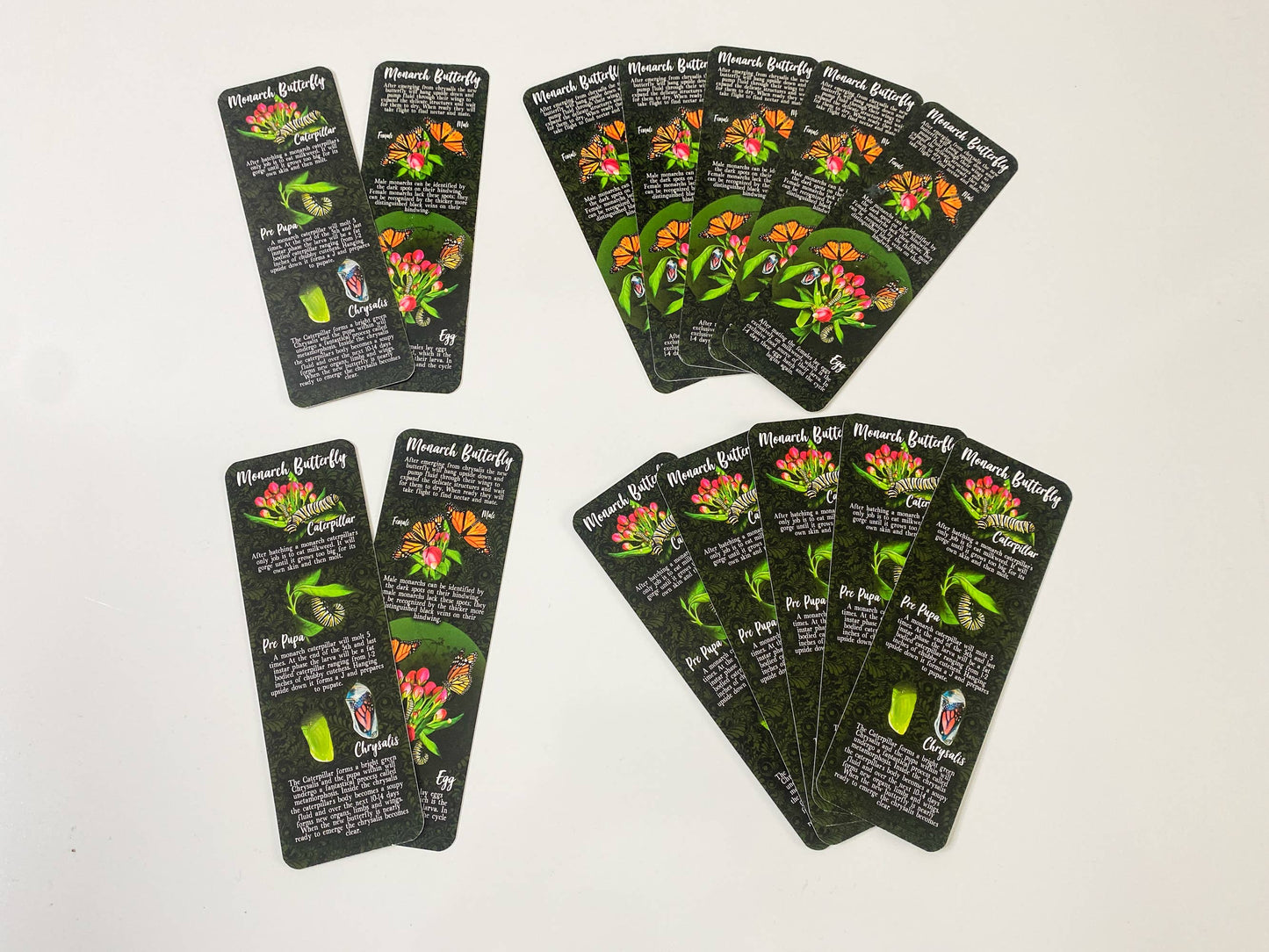 Monarch Lifecycle Bookmark