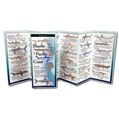 Sharks, Skates, Rays & Chimaera of the Pacific Coast