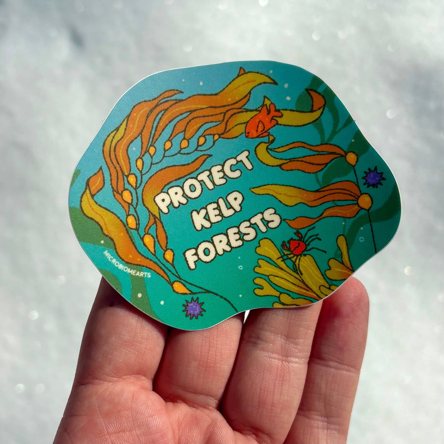Protect Kelp Forests Sticker