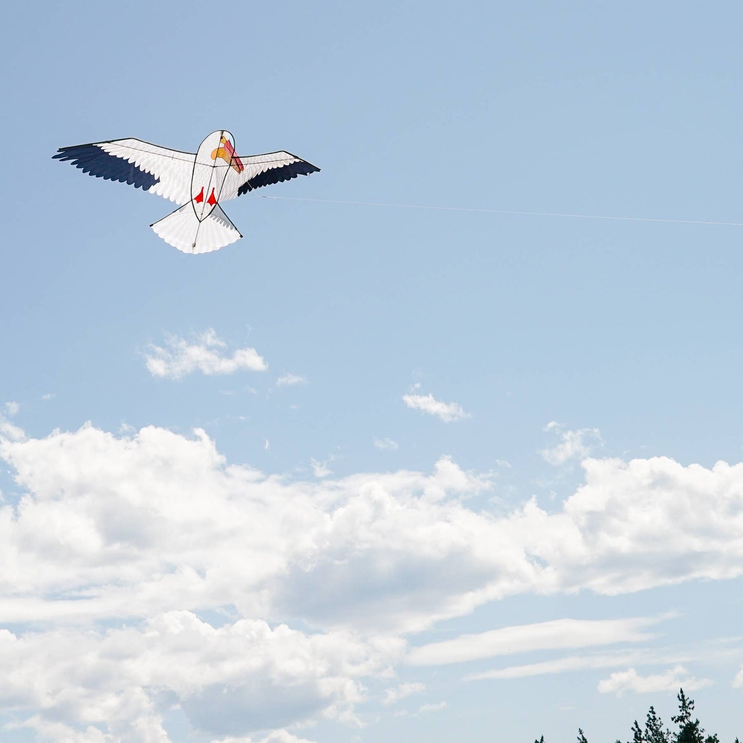 70" Pelican Kite