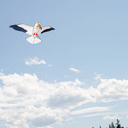 70" Pelican Kite
