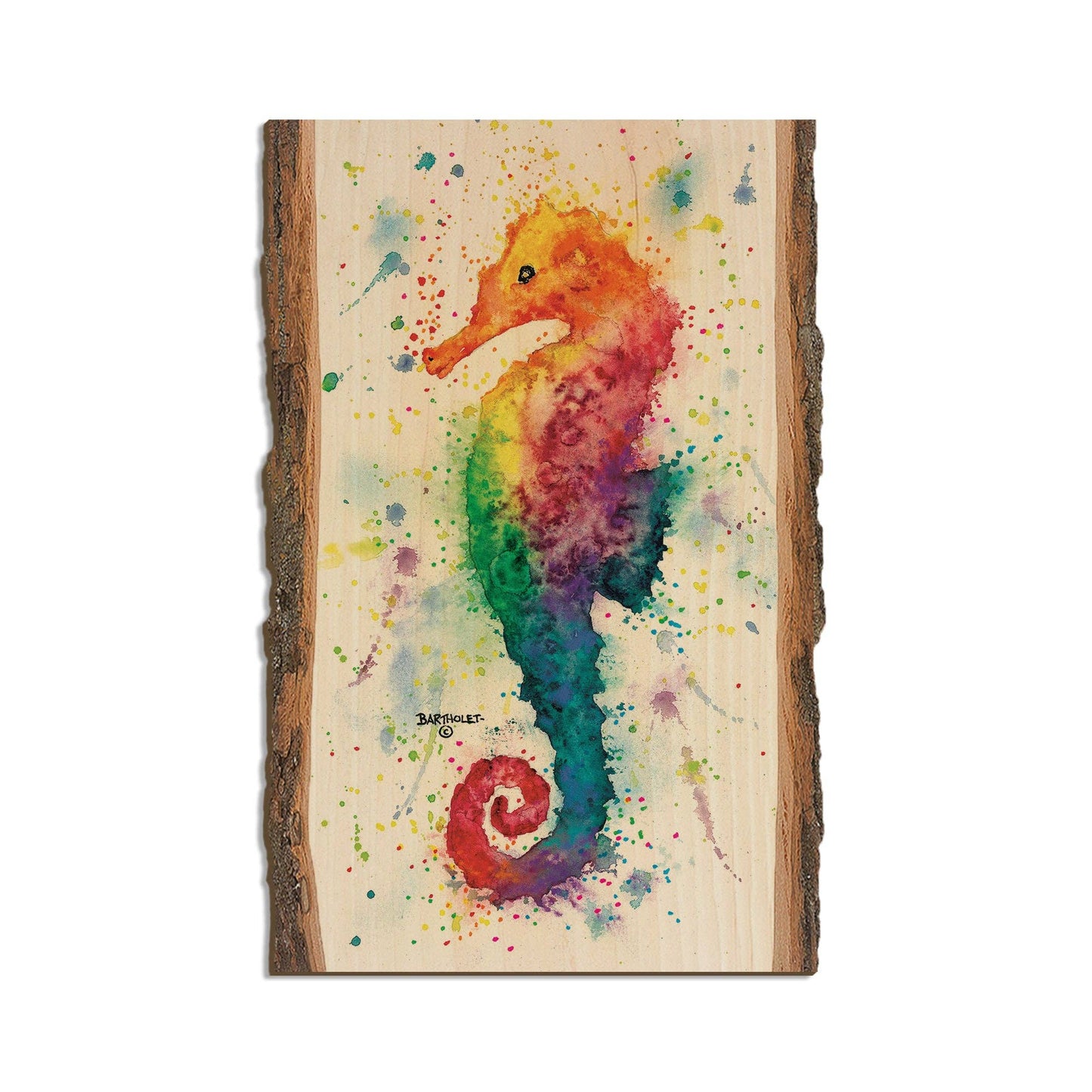 Seahorse Magnet CMA