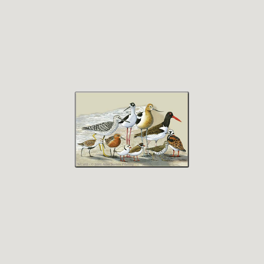 Shorebirds 2" X 3" Magnet
