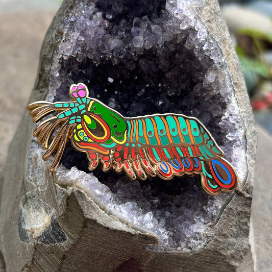 Peacock Mantis Shrimp Enamel Pin