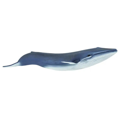 BLUE WHALE