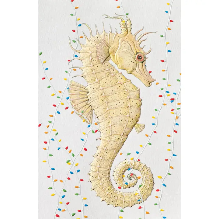 Seasonal Seahorse - Deluxe Box Christmas