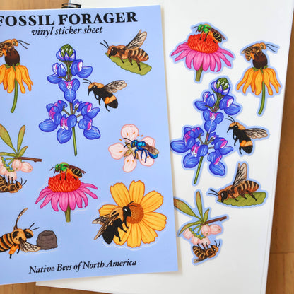 Native Bees of North America Sticker Sheet