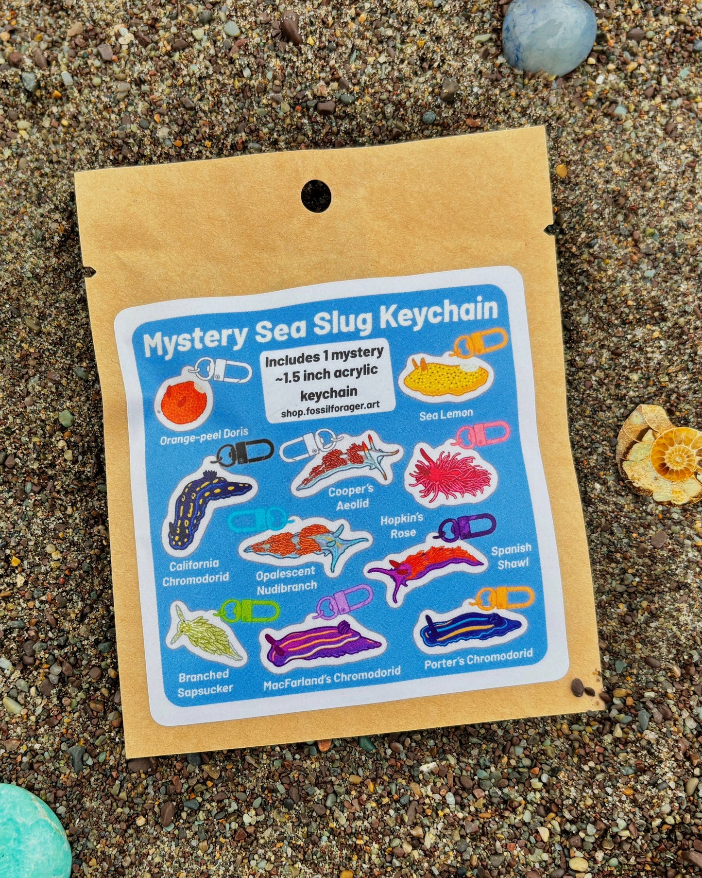 Mystery Mini Sea Slug Acrylic Keychain