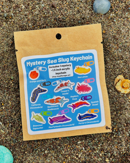 Mystery Mini Sea Slug Acrylic Keychain